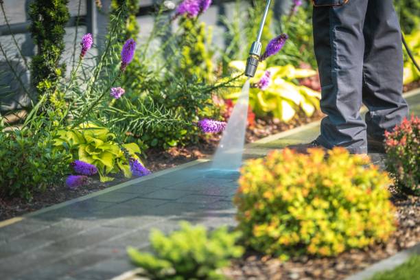 Best Winterizing Services  in Englewood, NJ